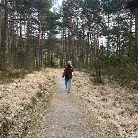 Near Pulpit Rock