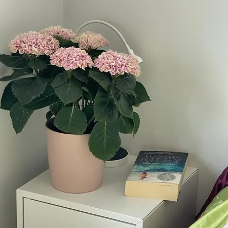 Near Pulpit Rock Jørpeland