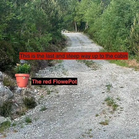 Near Pulpit Rock Σπίτι διακοπών Jørpeland