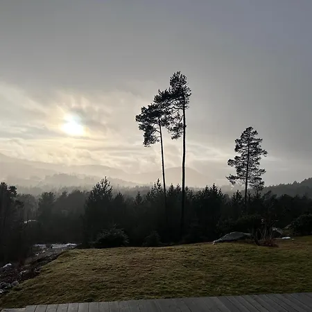 Near Pulpit Rock * Jørpeland