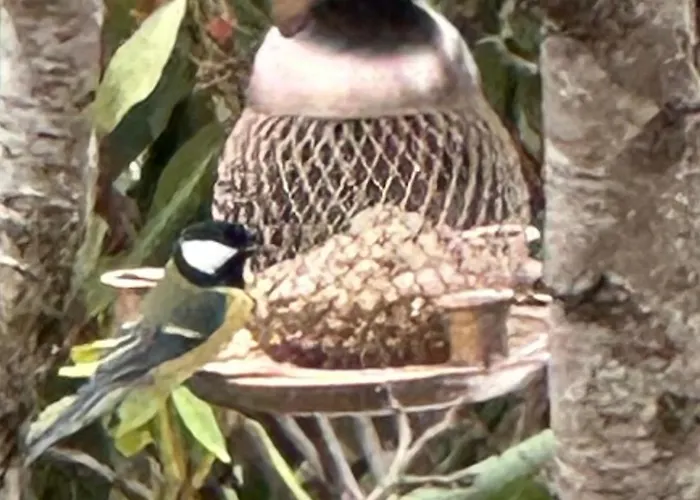 Near Pulpit Rock Jørpeland