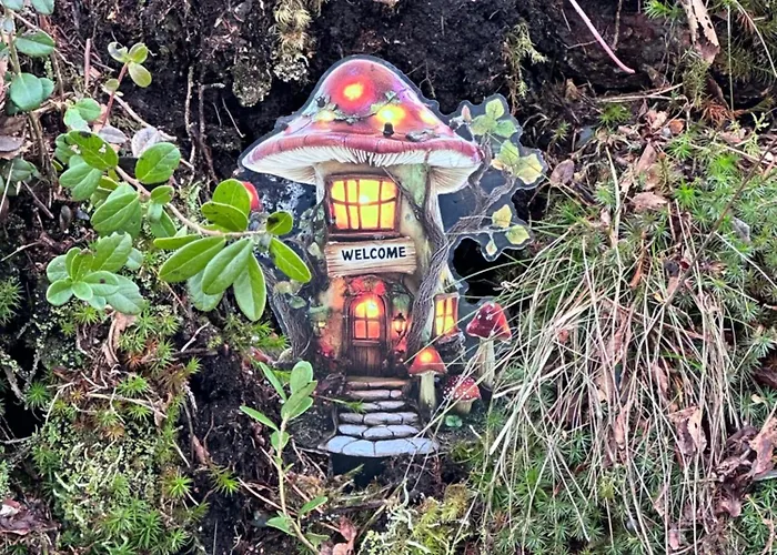 Ferienhaus Near Pulpit Rock *